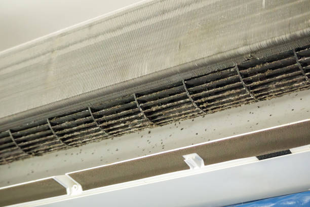 Best Ductwork Cleaning Services  in Edmonds, WA